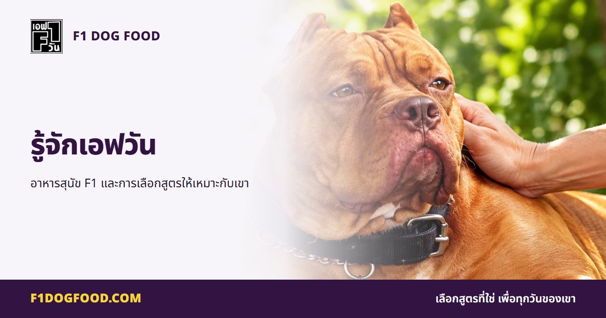 รู้จักเอฟวัน | F1 Dog Food