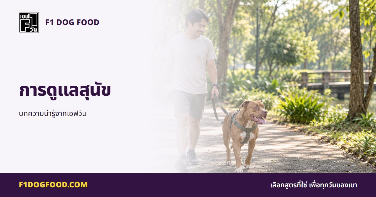 การดูแลสุนัข | F1 Dog Food