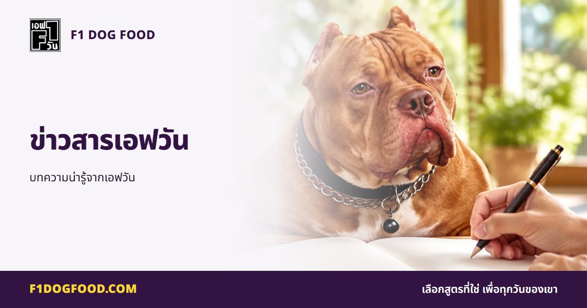 ข่าวสารเอฟวัน | F1 Dog Food