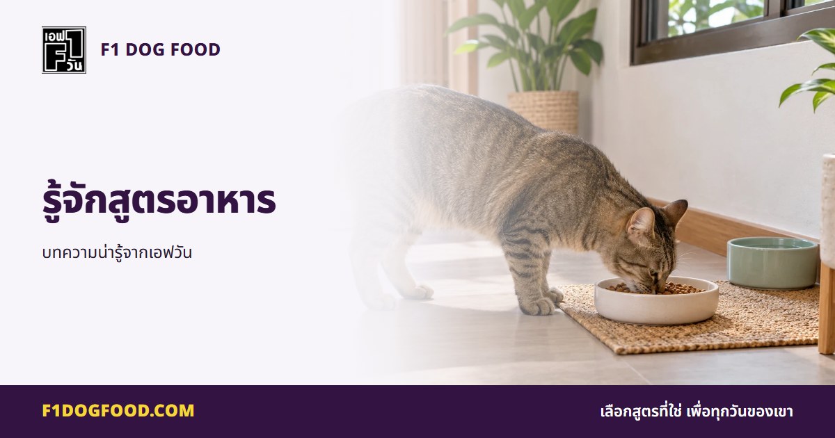 รู้จักสูตรอาหาร | F1 Dog Food