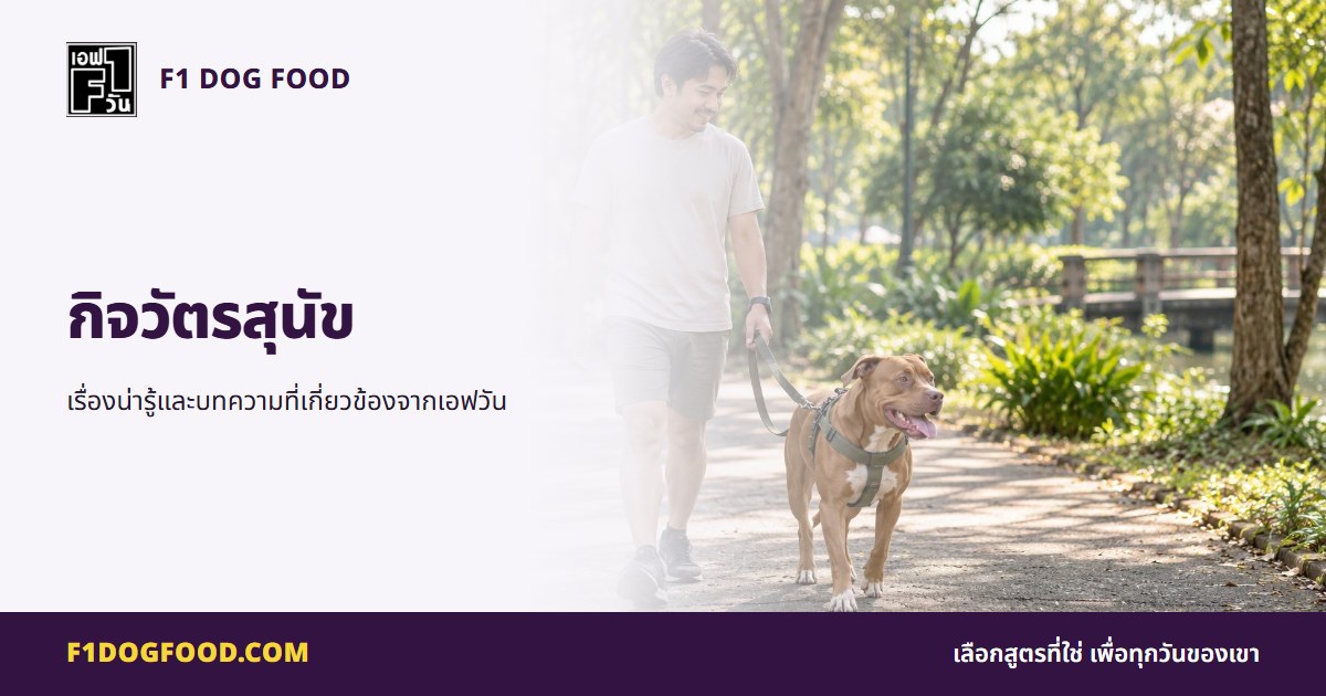 กิจวัตรสุนัข | F1 Dog Food