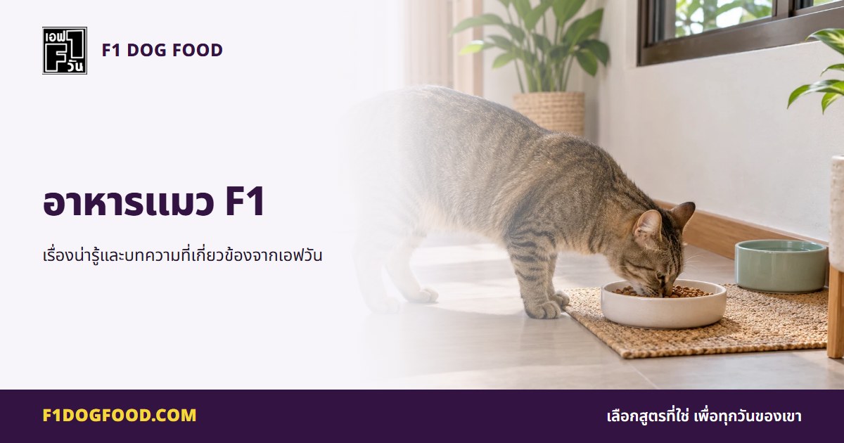 อาหารแมว F1 | F1 Dog Food