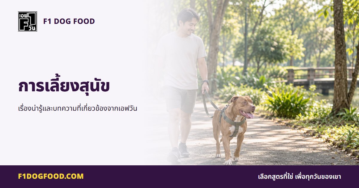 การเลี้ยงสุนัข | F1 Dog Food