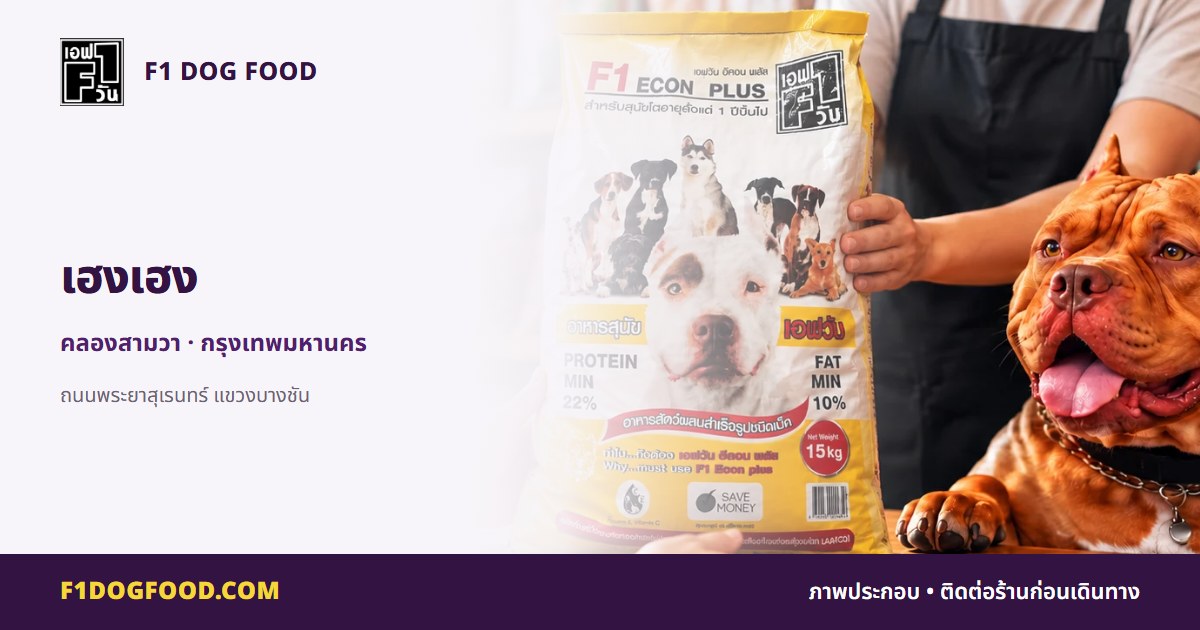 เฮงเฮง | F1 Dog Food