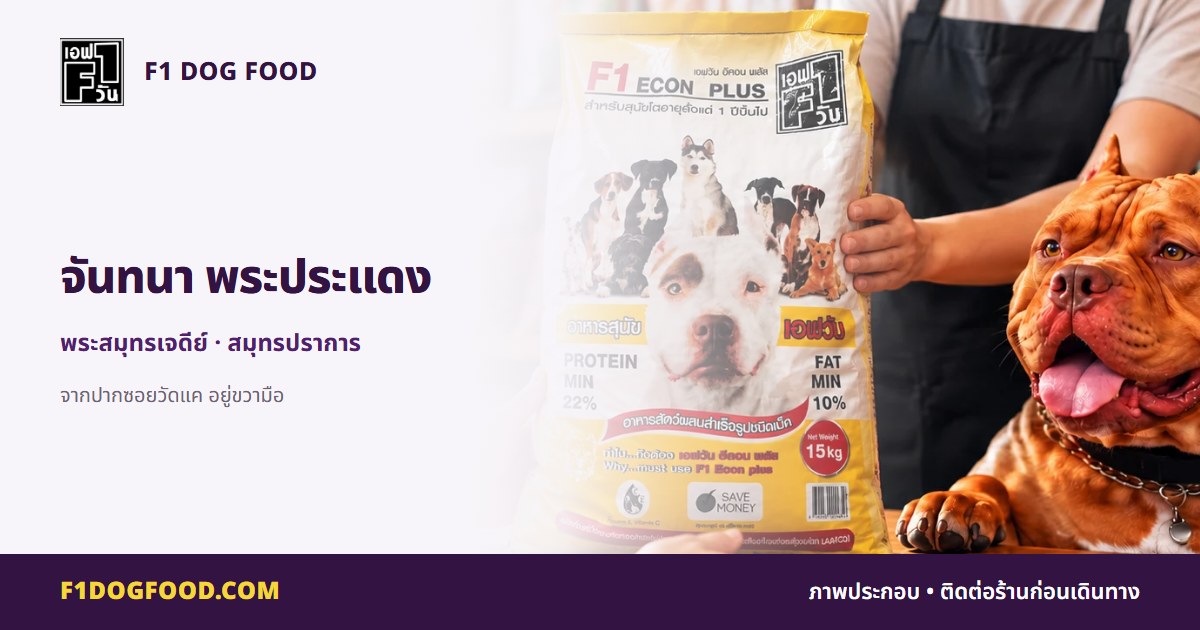 จันทนา พระประแดง | F1 Dog Food
